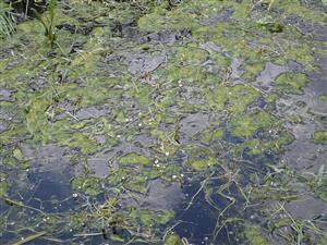 TML, interiér kanála