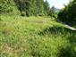 Suchomilné travinnobylinné a krovinové porasty na vápnitom podloží (*dôležité stanovištia Orchideaceae) (28.6.2014)