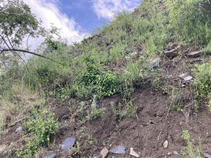 biotop na zosúvajúcom sa svahu