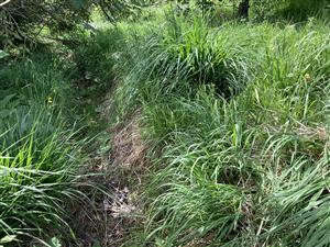 odvodňovací kanál