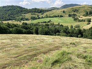 kosenie na lokalite