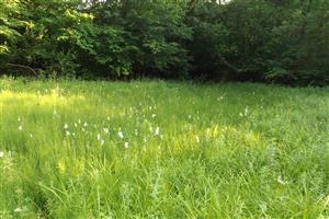 Celkový pohľad na biotop smerom na JZ