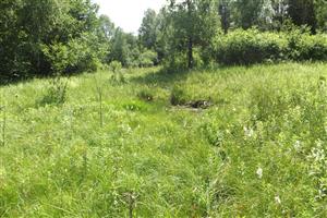 Celkový pohľad na biotop smerom na V