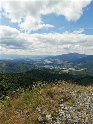 pohľad na TML