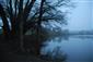 kotúľka štíhla (29.11.2014)