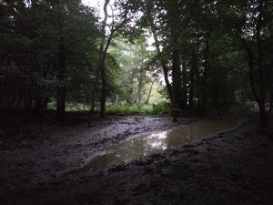 miesto odchytu Jelenec