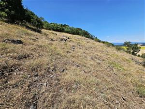 Pohľad na TML, ako predch. mapovanie.