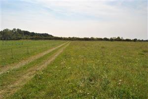 pohlad na lokalitu 2