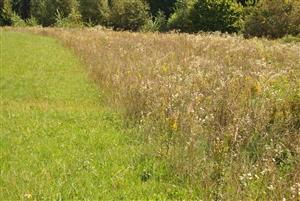 pohlad na lokalitu 2