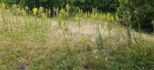 pohlad na lokalitu zvrchu