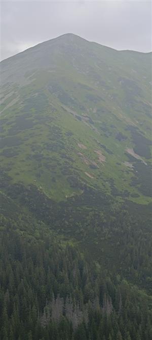 jakubina2