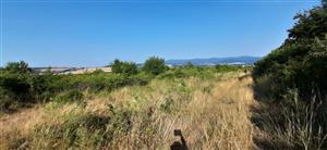cesta