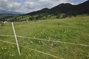 Pasená plocha s oplôtkom - Lk3