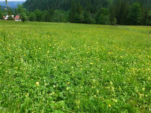 TML_pohľad na sever, k obci 