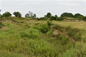 Pohľad na lokalitu v západnej časti - bývalé hlinisko