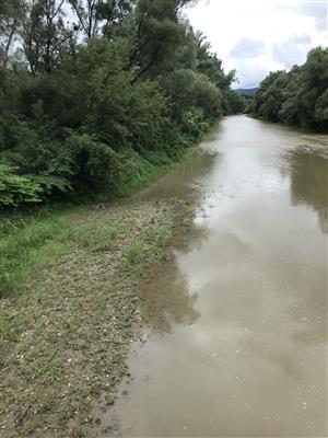 pohľad na lokalitu od SV