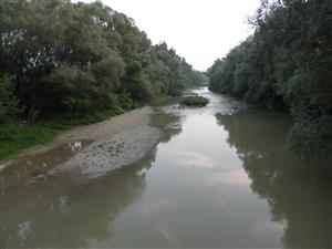 fotografia biotopu z roku 2014