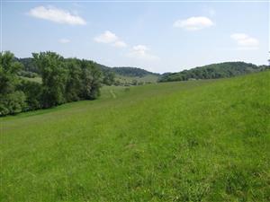 Pohľad na TML_6510_038 z centra TML smerom na východ