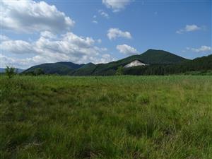 biotop s dominantnou Schoenus ferrugineus