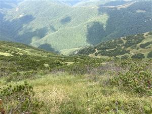 pohľad na lokalitu zhora