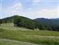 Nížinné a podhorské kosné lúky (5.7.2014)