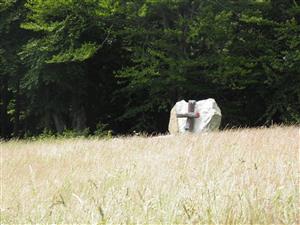 Monument u Gregušovcov