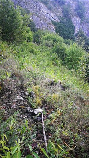 Otvorené sutinové oko obklopené krovím.