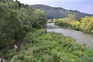 lokalita