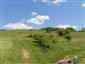 užovka hladká (16.5.2013)