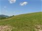užovka hladká (7.6.2013)