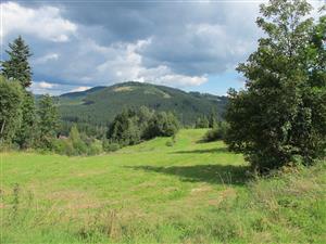 Pohlad na pokosenu cast lokality