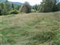Nížinné a podhorské kosné lúky (29.8.2014)