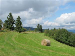 Pohlad na lokalitu v hornej casti