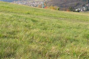 Pohlad na hornu cast lokality