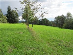 Pohlad na hornu cast lokality