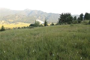 pohlad na TML v smere na JJV