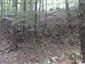 Lipovo-javorové sutinové lesy (20.8.2013)