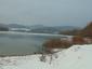 lyska čierna (18.2.2023)