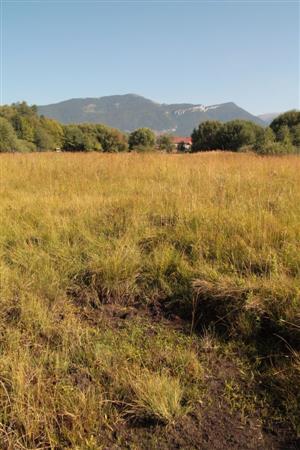 pohlad na jazierko a slatinu v smere na S