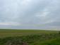 trasochvost biely (28.4.2023)