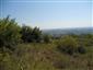 užovka hladká (31.8.2013)