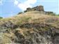 jašterica múrová (10.8.2013)