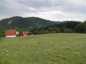 Časť pokosenej lokality