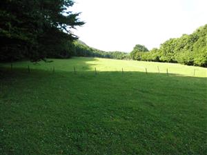 celkovy pohlad na lokalitu od juhu