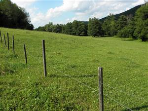 juzny okraj lokality nad blizkym potokom