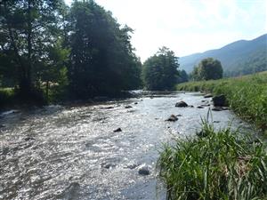 pohlad na lokalitu