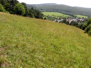 pohlad na Tr1 biotop zo SZ okraja lokality