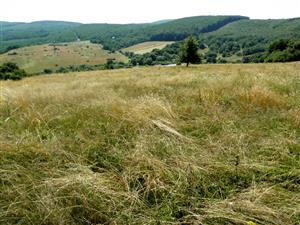 centralna cast lokality, pohlad zo severu 