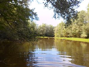 Zaciatok TML pohlad 1