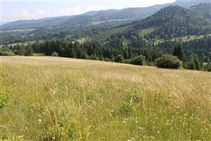 celkový pohľad na TML